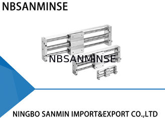 Balring die Pneumatische magnetisch Gekoppeld Rodless dragen van de Luchtcilinder