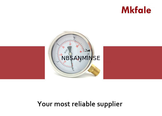 100mm de vloeistof gevulde Maat van de het Roestvrije staaldruk van de drukmaat