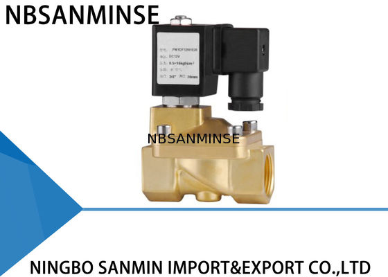 Douanepm 2/2 Manier de Klep die van de Messingssolenoïde Solenoïdeklep voor Gas sluit