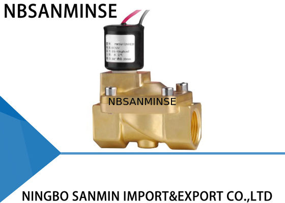 Douanepm 2/2 Manier de Klep die van de Messingssolenoïde Solenoïdeklep voor Gas sluit