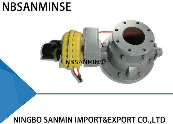 Professionele Inham/van de de Klep Dubbele Schijf van de Saldosmdf Koepel de Controleklep