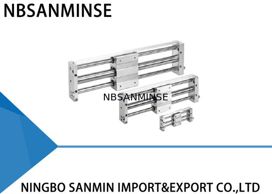 Balring die Pneumatische magnetisch Gekoppeld Rodless dragen van de Luchtcilinder
