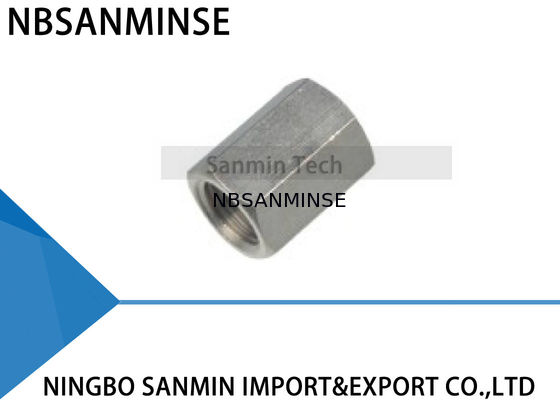 Van het van STANDAARD BSPT (r) de pneumatische montage draadmessing met goede aardige vernikkeld