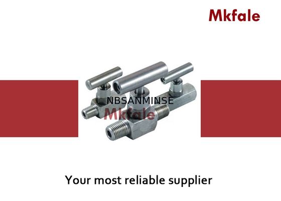 Van de het Koolstofstaal MiniNaaldklep van 6000 Psi Het Roestvrije staalNaaldklep