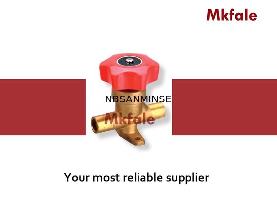 Het hand van de de Luchtklep van de Einde Elektrische Solenoïde van de het Messingssolenoïde Teflon van de de Klepraad Speciale Ontwerp