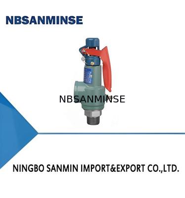 N Type Gietijzeren Veiligheidsklep met Veer 35bar Sleutel