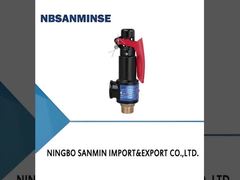 N Type Gietijzeren Veiligheidsklep met Veer 35bar Sleutel