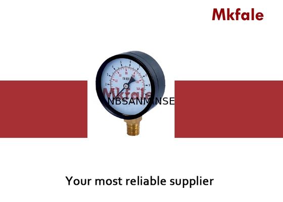 SMTB-van het de Maat Zwarte Staal van de Roestvrij staal het Vloeibare Druk Geval G/NPT/Andere Draad